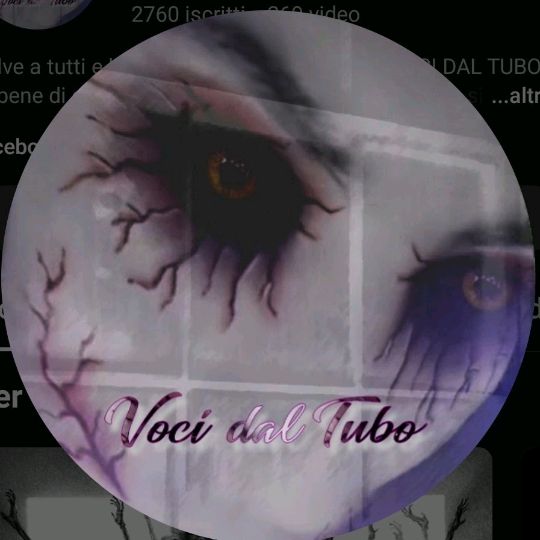 Vocidaltuboparanormal