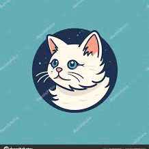republicofcat-212