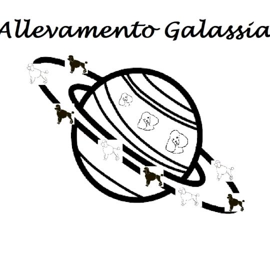 AllevamentoGalassia