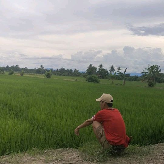 AbangTani