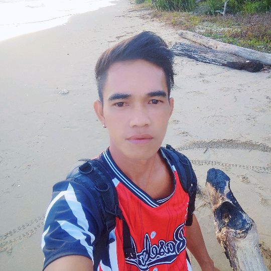 Mansuraditya