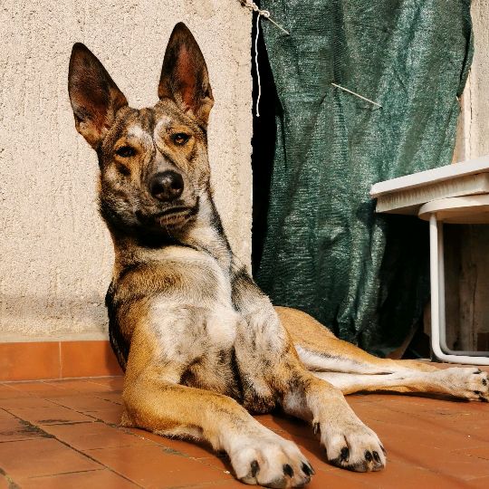 Laura82