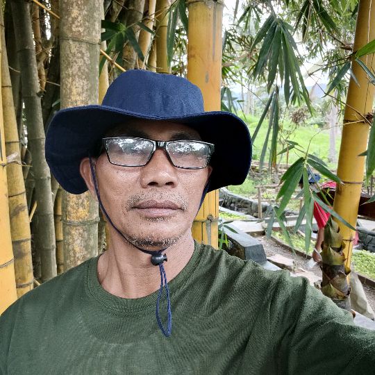 Firdaus01