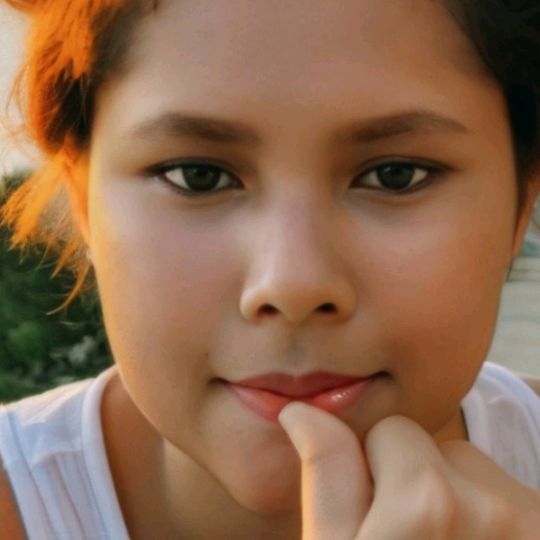 VelinR71