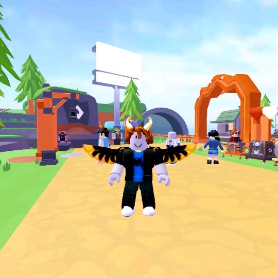 Ducplayss